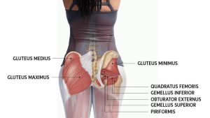 esercizi glutei perfetti